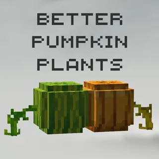Better Pumpkin Plants