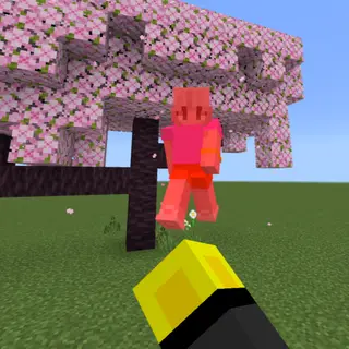 Player Knockback++