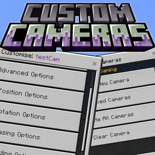 Custom Cameras