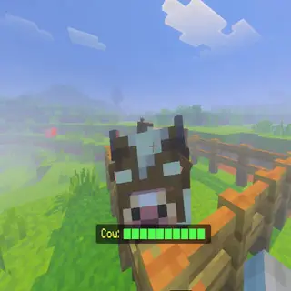 Health HUD