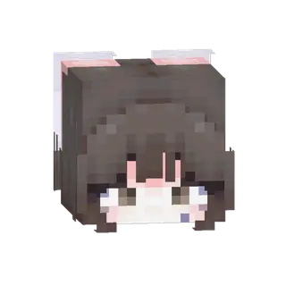Animated Skin Template