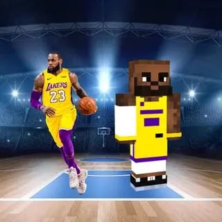 LeBron James Skin Pack