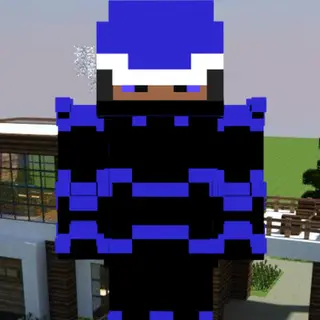 Winter skins