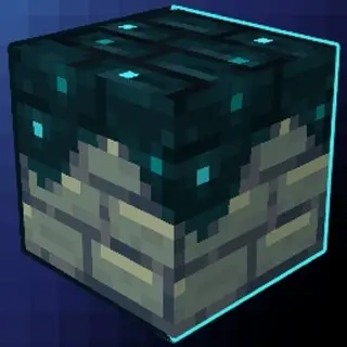 TooManySculkBricks
