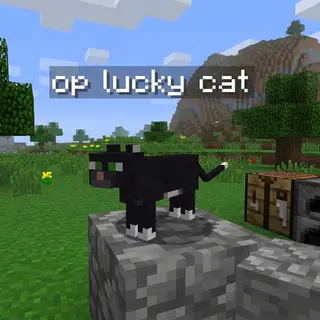 lucky cat