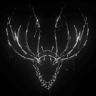 The Hollow Hunger
