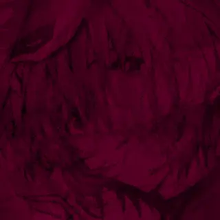 reii