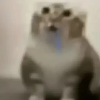 Cat meme totem