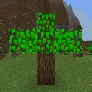 Duplicator Tree