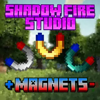 LSS +Magnets-