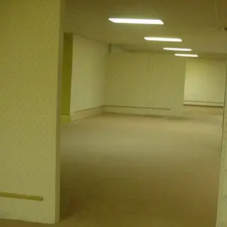 The Backrooms V1