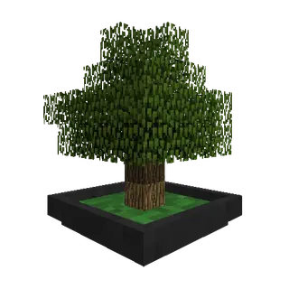 Bonsai Trees 4