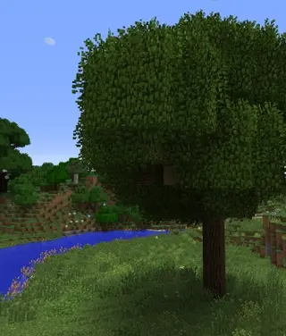 Better Foliage