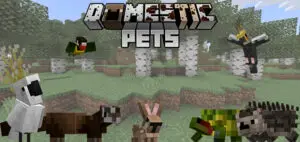 Domestic Pets