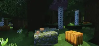 yBiomes Craft (1.18) | Minecraft PE Addons