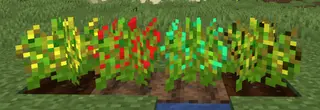 The Veggie Way PE | Minecraft PE Addons