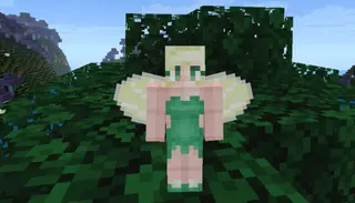 Magic Craft (V1.1 Fairies & Broomsticks)