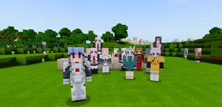 Waifus Addon(1.16+) | Minecraft PE Addons