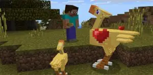 Chocobos Addon for Minecraft Pe