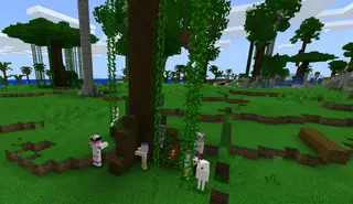 Dragon Block Frieza Addon for Minecraft Pe