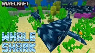 Whale Shark Add-on | Minecraft PE Addons