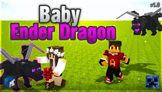 Baby Ender Dragon | Minecraft Addon PE