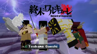Record of Ragnarok Addon