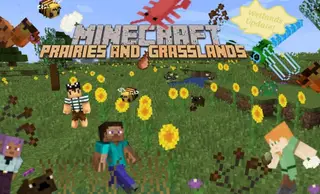 Prairies & Grasslands