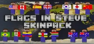 Flags in Steve SkinPack