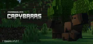 Capybaras