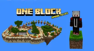 One Block [Spring to Life] v1.5.9