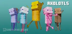 AXOLOTLS MINECRAFT SKIN PACK