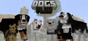 Dogs Plus – Improvements Update