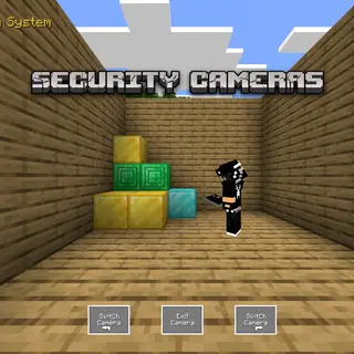 Taps Security Cameras