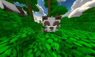 all pandas brown!