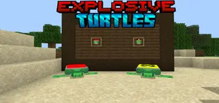 Explosive Turtles
