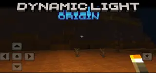 dynamic light origin