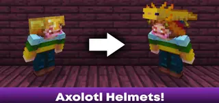 Axolotl Helmets!