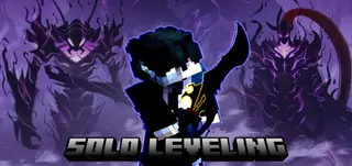 SOLO LEVELING ARISE