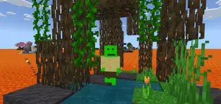Fools Skin Pack