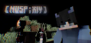 NUSP : XIV