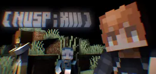 NUSP : XIII