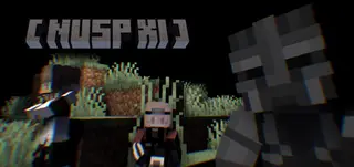 NUSP : XI