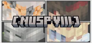 NUSP : VIII