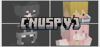 NUSP : V