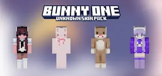 BUNNY ONE - SKIN PACK
