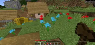 Roses Return Pack Addon