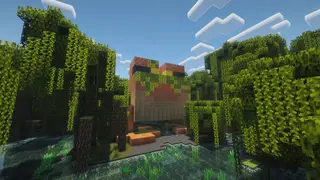 Villager Frog House