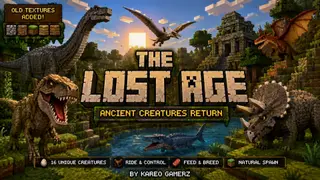 The lost age