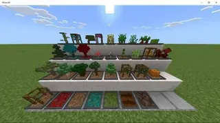 Easy Bonsai